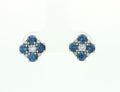 Colored Stone Earring