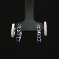 Colored Stone Earring