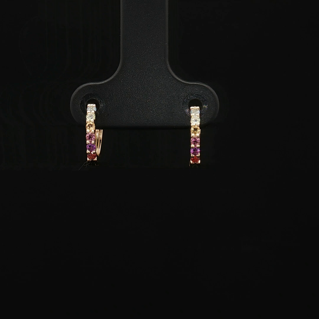 Colored Stone Earring