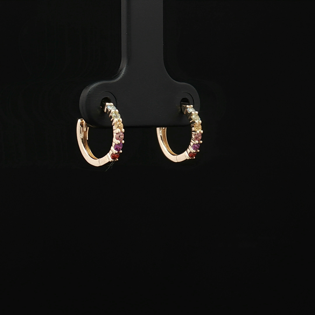 Colored Stone Earring