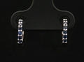 Colored Stone Earring