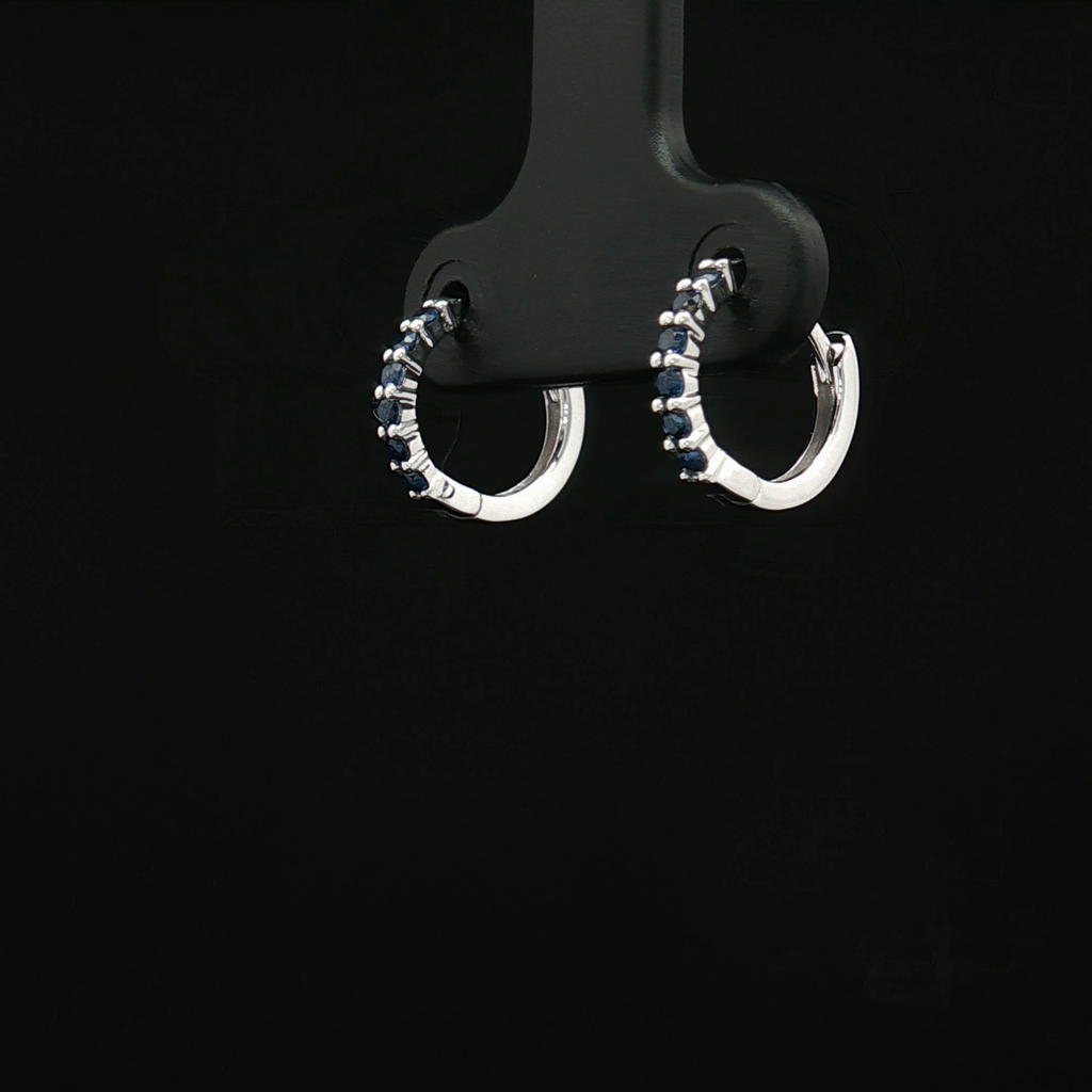 Colored Stone Earring