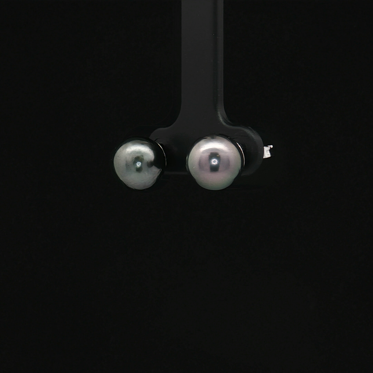 Pearl Earring