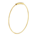 Precious Metal (No Stones) Earring
