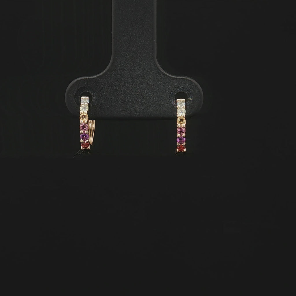 Colored Stone Earring
